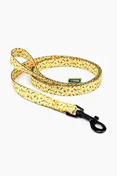 Повідець ТМ HIDOG Flawers yellow , ширина 25 мм (довжина 152 см) (2100102367013A)(SN) shop (2100102367013)