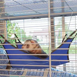 Двоповерхова клітка Ferplast Furet Tower для тхорів на колесах - мініатюра 8