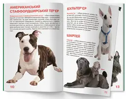 Велика книжка. Собаки - Олег Зав'язкин - мініатюра 3