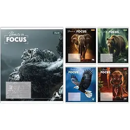 Зошит 1 Вересня A5 36 арк. клітинка 1В Beasts in Focus (768058)