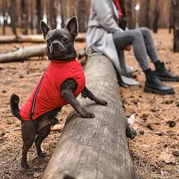 Жилет Pet Fashion E.Vest для собак, розмір XS2, червоний - мініатюра 4