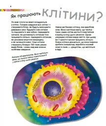 Герої та лиходії в нашому тілі - мініатюра 2