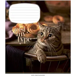 Зошит учнівський Школярик Pets portraits, в клітинку, 24 аркуші, ВД-лак, 25 шт. (024-3234K) - мініатюра 2