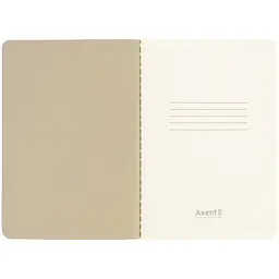 Книга записна Axent Turnowsky Silky Smooth 2 A6 60 аркушів клітинка (8711-11-A-TR) - мініатюра 5