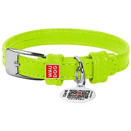 Нашийник для собак Waudog Glamour, шкіряний, з QR паспортом, 21-29х1,2 см, салатовий