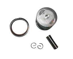 Delta 70 Поршень (у зборі) 1.00 (O48.00mm)