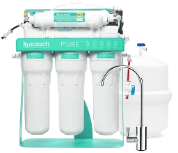 Фільтр зворотного осмосу Ecosoft P'URE AquaCalcium MINT з помпою на станині (MO675PSMACECO)