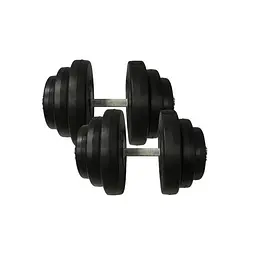 Гантелі Newt 2 шт. по 19,5 кг Чорний (ML-144-K-11)