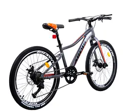 ВЕЛОСИПЕД ARDIS 24 MTB AL "SKIF" Сірий