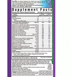 Мультивітаміни для дітей Bluebonnet Nutrition Rainforest Animalz зі смаком фруктів 90 таблеток - мініатюра 2