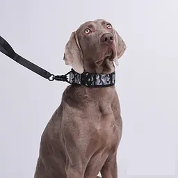 Нашийник для собак Woofy, нейлоновий з металевою пряжкою-фастекс, світловідбиваючий, сірий/камуфляж, М - мініатюра 5