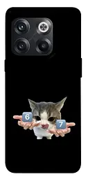 Чохол Demsky Six Seven cat для OnePlus 10T