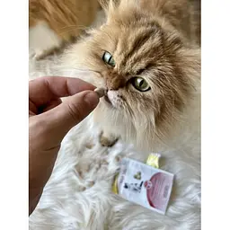 Вітаміни GimCat Every Day Malt Tabs для котів, 40 г - мініатюра 4
