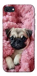 TPU чохол Demsky Мопс у ніжностях для Apple iPhone SE (2020)