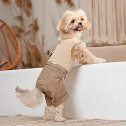 Шлей-костюм Darcy ТМ Pet Fashion для собак S бежева - мініатюра 8