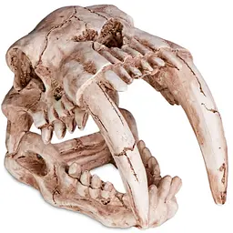Декорація череп тигра Terrario Sabertooth Skull 13x8,5x11см (15911) - мініатюра 6