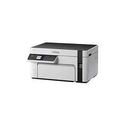 Багатофункціональний пристрій Epson M2110 (C11CJ19401)