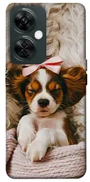TPU чохол Demsky Sleepy spaniel для OnePlus Nord CE 3 Lite