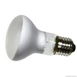 Лампа точкового нагріву Repti-Zoo Beam Spot 75W (BS63075) - мініатюра 3