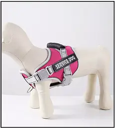 Нейлонова водонепроникна регульована шлея ServiceDog для собак, XX-Large Блакитний - мініатюра 6