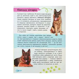 Книга Мініенциклопедія. Хатні улюбленці Vivat (9789669827241) - мініатюра 7