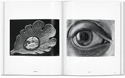 M.C. Escher. The Graphic Work - мініатюра 7