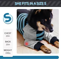 Костюм для відновлення собак Derby Stop Licking Dog Recovery Shirt, Blue, M - мініатюра 5