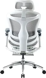 Офісне крісло Sihoo DORO C300 Pro Mesh White with footrest (DORO-C300-PRO-M102-JT) - мініатюра 4