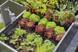 Комплект поливу Gardena Micro-Drip-System Raised Bed Set для високих грядок на 35 рослин (13455-20) - мініатюра 4