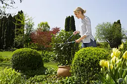 Ножиці для живоплоту Gardena EasyCut (12301-20.000.00) - мініатюра 7