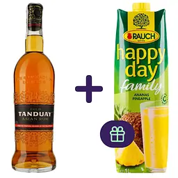 nabir-rom-tanduay-asian-rum-gold-40-07-l-nektar-happy-day-family-ananas-1-l