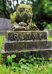 Faithful unto Death. Pet cemeteries, animal graves and eternal devotion - мініатюра 18