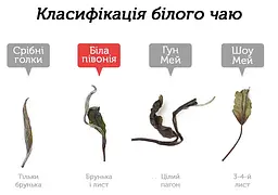 Бай Му Дань Лі Да Насамперед Людяність 2022 р. - 350 г - мініатюра 3