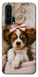 TPU чохол Demsky Sleepy spaniel для Huawei Honor 20 Pro