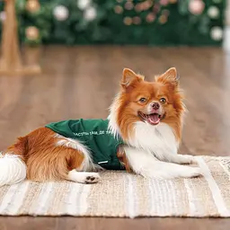 Борцовка Kale Pet Fashion для собак XS2 зелена - мініатюра 4