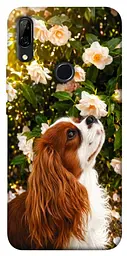 TPU чохол Demsky Flower spaniel для Huawei P Smart Z