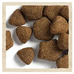 Сухий корм для собак Dog Chow Adult 1+, з ягням, 14 кг - мініатюра 6