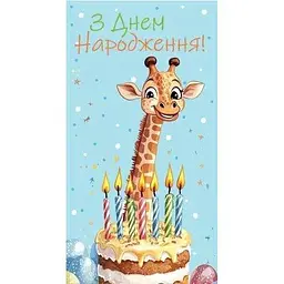 Конверт для грошей 0146 Різнокольоровий
