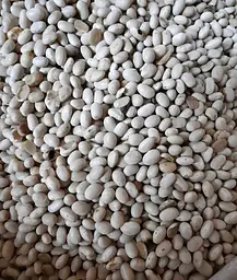 Квасоля Неві Бінс Navy Beans 1 кг - мініатюра 2
