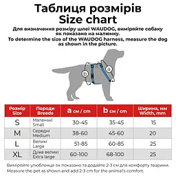 Шлея для собак Waudog Nylon Recycled анатомічна H-подібна з QR-паспортом градієнт розмір S 1.5х30-45х35-45 см салатова - мініатюра 5