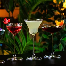Келих Onis (Libbey) Bespoke Martini 190 мл (440119) - мініатюра 2