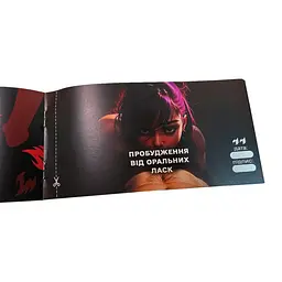 Чекова книжка PlayRoom Секс бажань Новий рівень PLR-0002 50 чеків - мініатюра 8