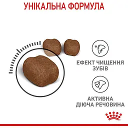 Сухий корм для котів Royal Canin Dental Care, для профілактики утворення зубного нальоту, 400 г (2532004) - мініатюра 7