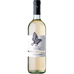 Вино Terre Passeri Pinot Grigio Garganega DOC біле сухе 0.75 л