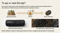 Біочар IDEALE 2 л - мініатюра 2