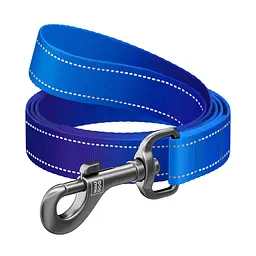 Повідець для собак WAUDOG Nylon Mono, світловідбивний M синій (521812)