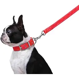 Повідець Dog Extreme з нейлону подвійний (ширина 20мм, довжина 122см), червоний - мініатюра 4