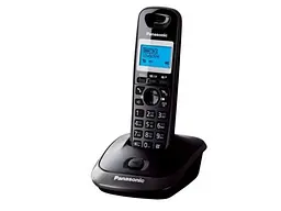Радіотелефон Panasonic Titan KX-TG2511UAT