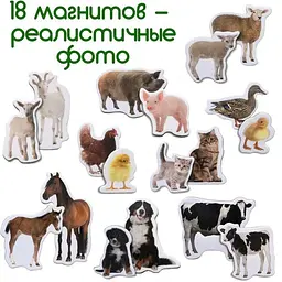 Набір магнітів Magdum "Ферма Мами і малюки" ML4031-08 EN - мініатюра 5