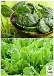 Насіння Agro-Market Шпинат Застольний на вагу ціна за 7 г (13356) - мініатюра 2